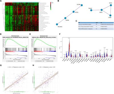 PECAM1 Combines With CXCR4 to Trigger Inflammatory Cell Infiltration and Pulpitis Progression Through Activating the NF-κB Signaling Pathway